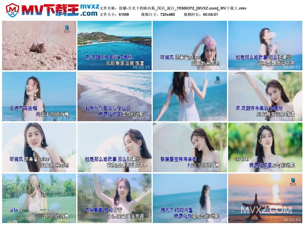 徐璐-月光下的欧内酱_国语_流行_YE600372